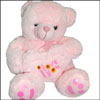 Magical Pink - Click here to View more details about this Product